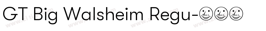GT Big Walsheim Regu字体转换